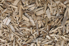 biomass boilers Wike